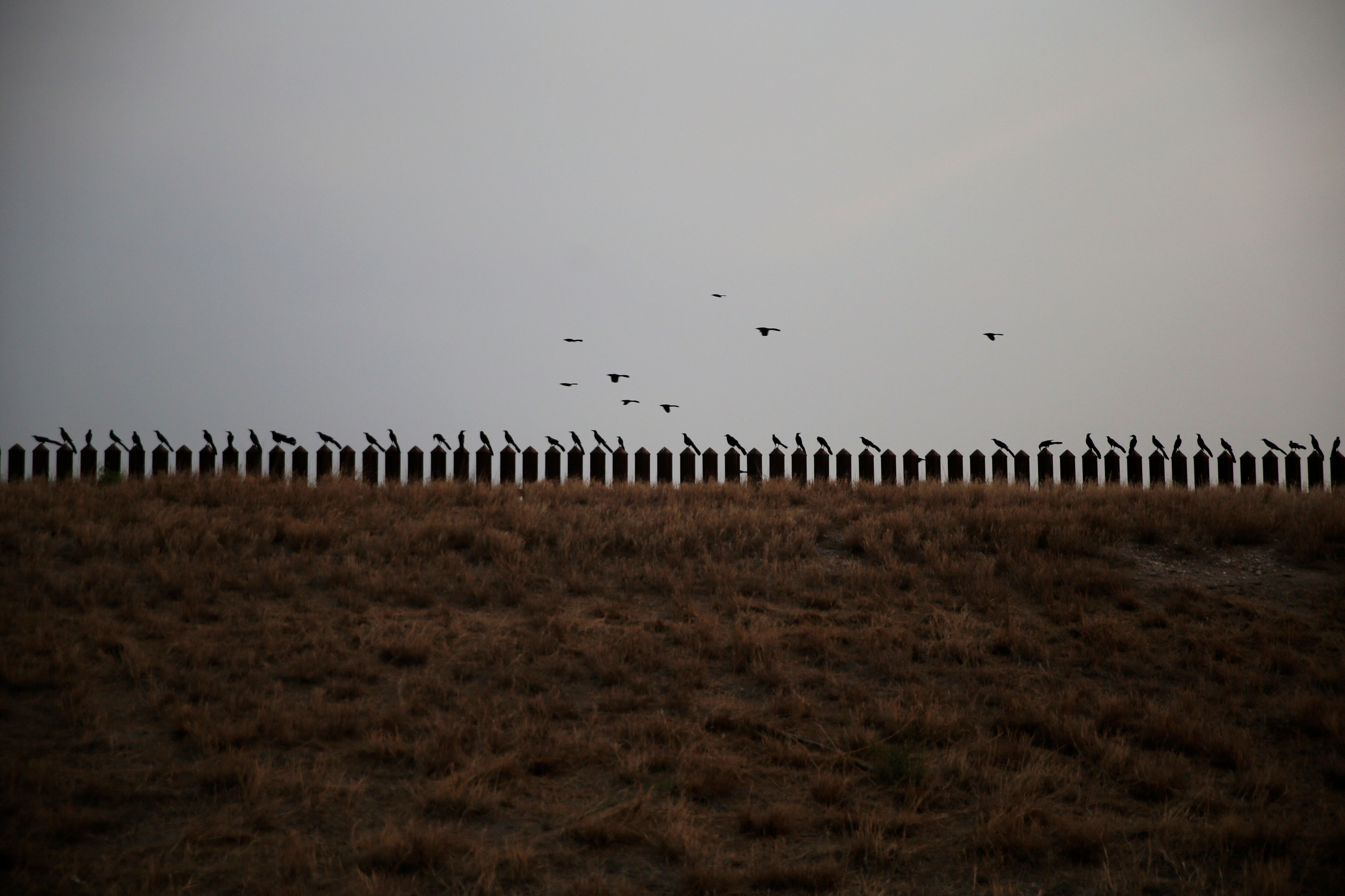 Frontera México y Estados Unidos
