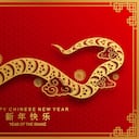 Serpiente Yin, Horóscopo del Año Chino -