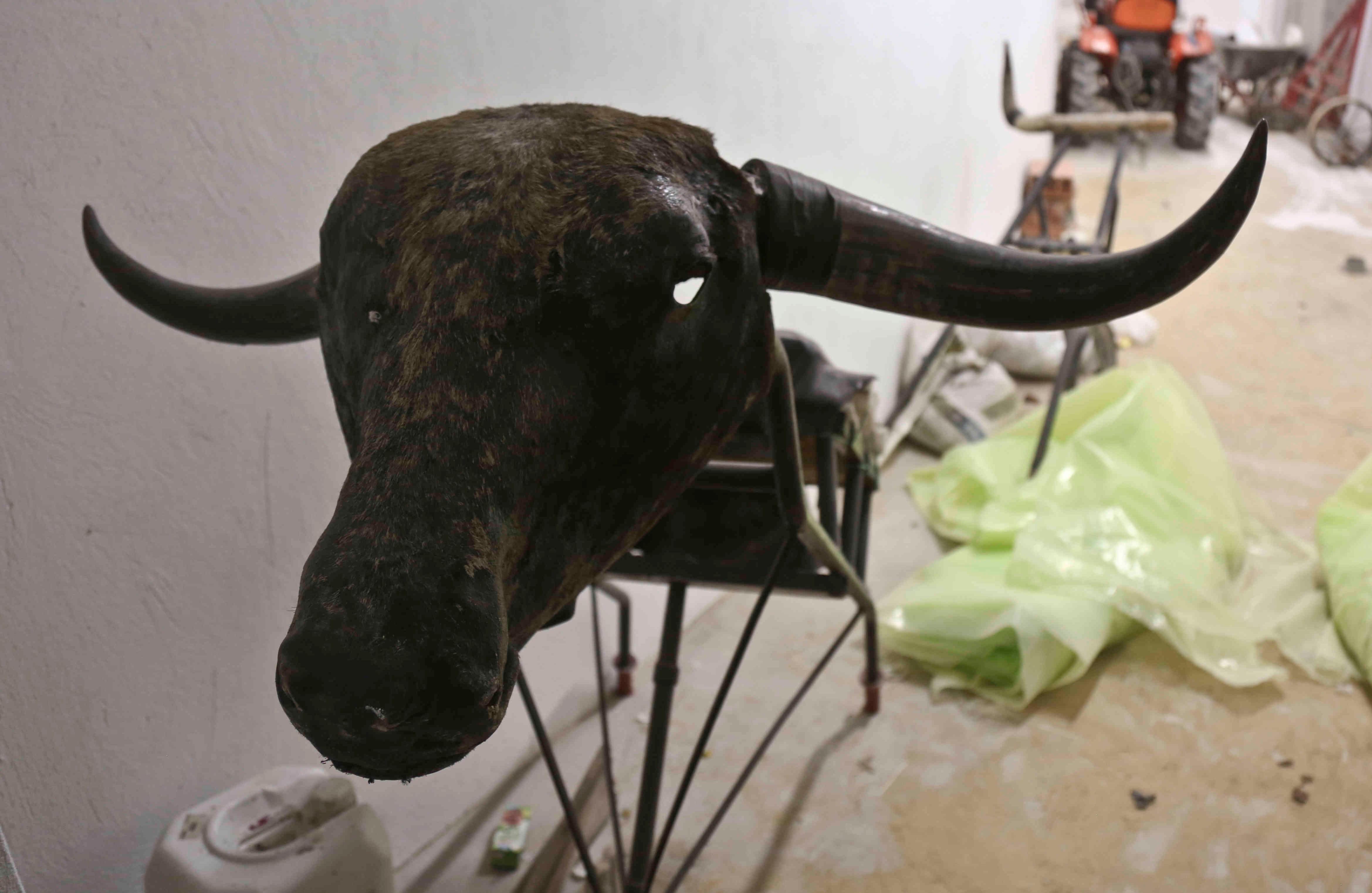 Carretón. (Esteban Vega/SEMANA)