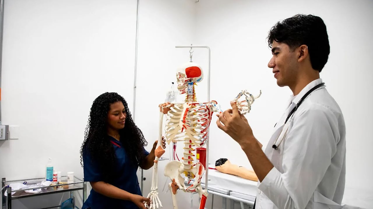 La formación en salud aparece como uno de los principales desafíos educativos nacionales.