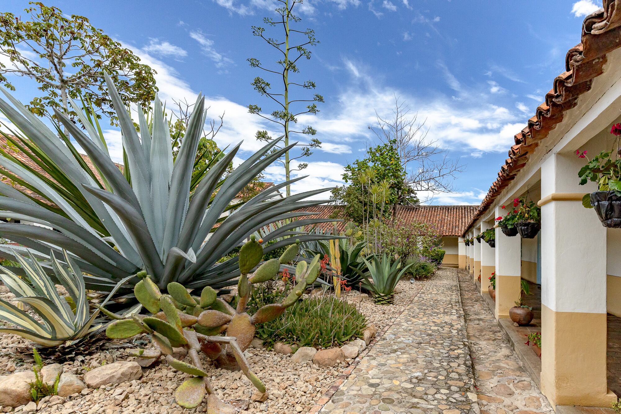 En el Claustro San Agustín, en Villa de Leyva, opera el primer museo del Instituto Humboldt que refleja tres décadas de investigación sobre la biodiversidad en Colombia.
