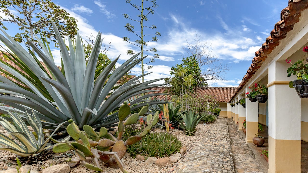 En el Claustro San Agustín, en Villa de Leyva, opera el primer museo del Instituto Humboldt que refleja tres décadas de investigación sobre la biodiversidad en Colombia.
