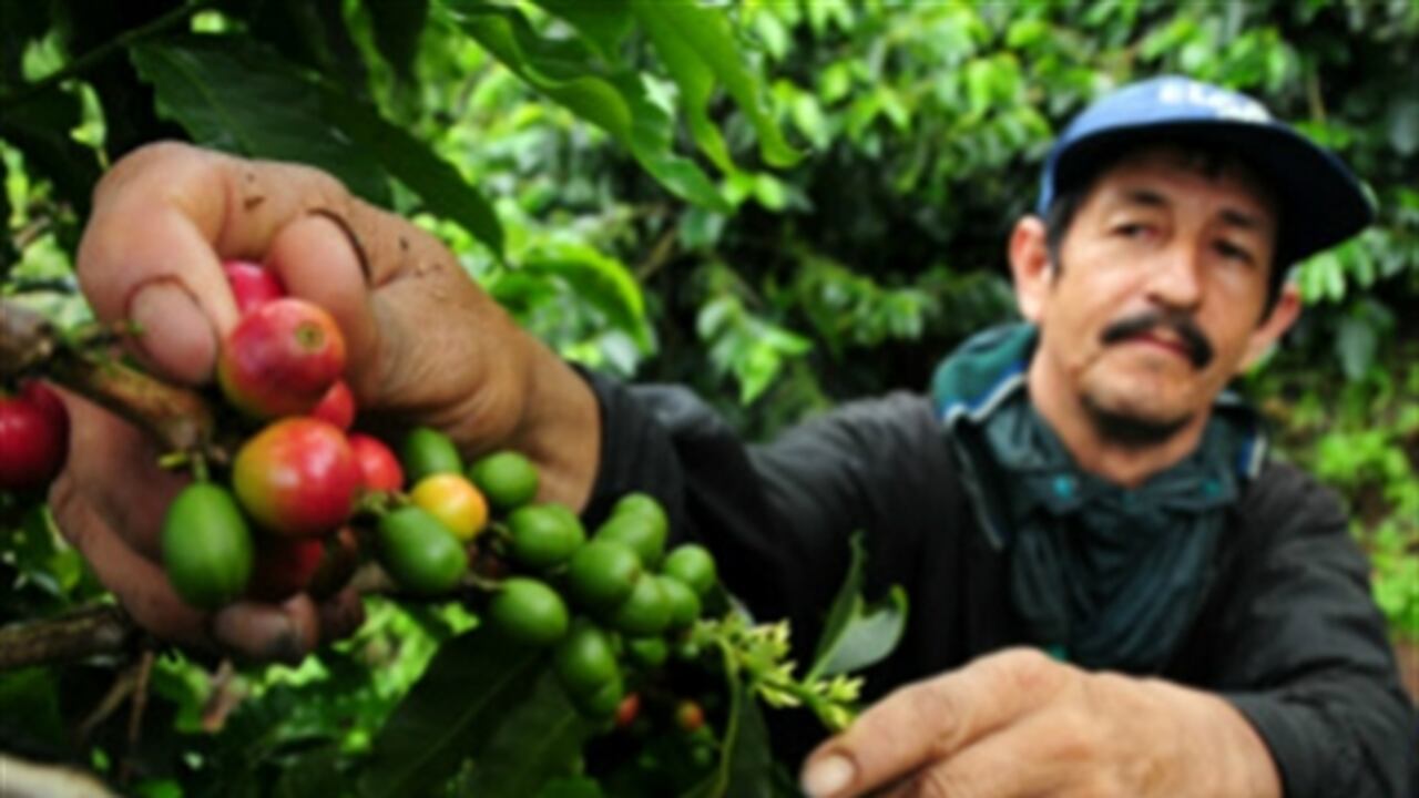 En abril las ventas externas crecieron un 20 por ciento llegando a los 824 mil sacos versus los 686 mil sacos puestos en el exterior durante el cuarto mes del 2013.