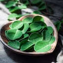 Moringa, beneficios.