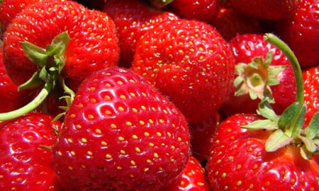 Las hojas de la fresa suelen estar en la parte superior del fruto, son verdes y su tamaño es inferior. 