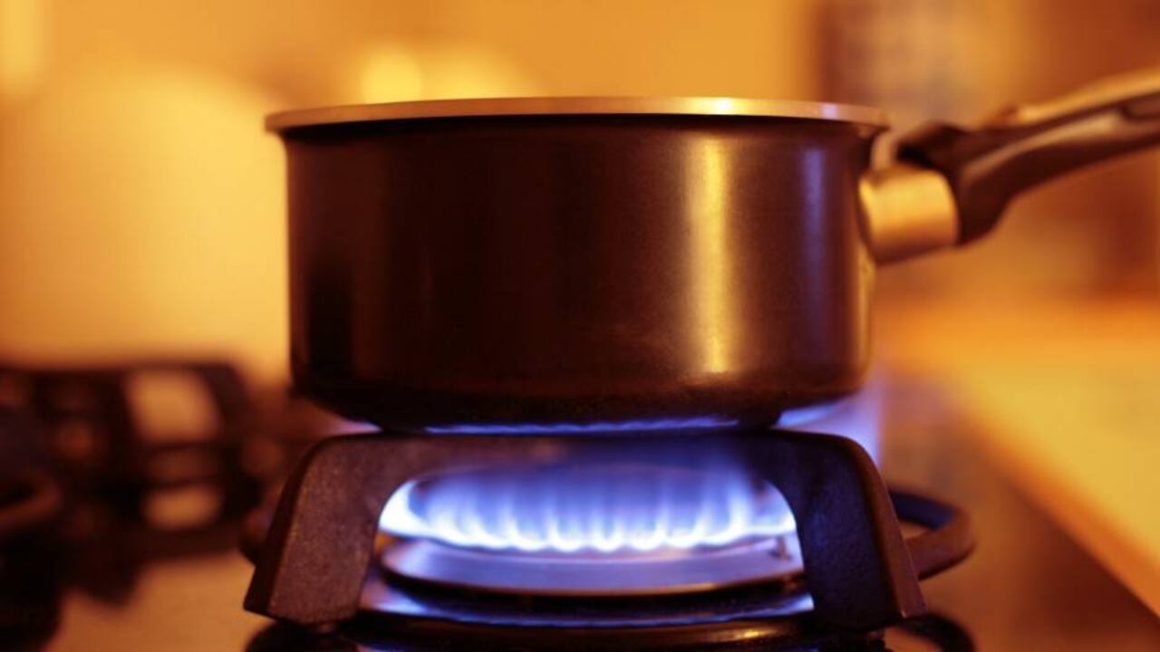 Foto: Getty Images. Anouchka. E+