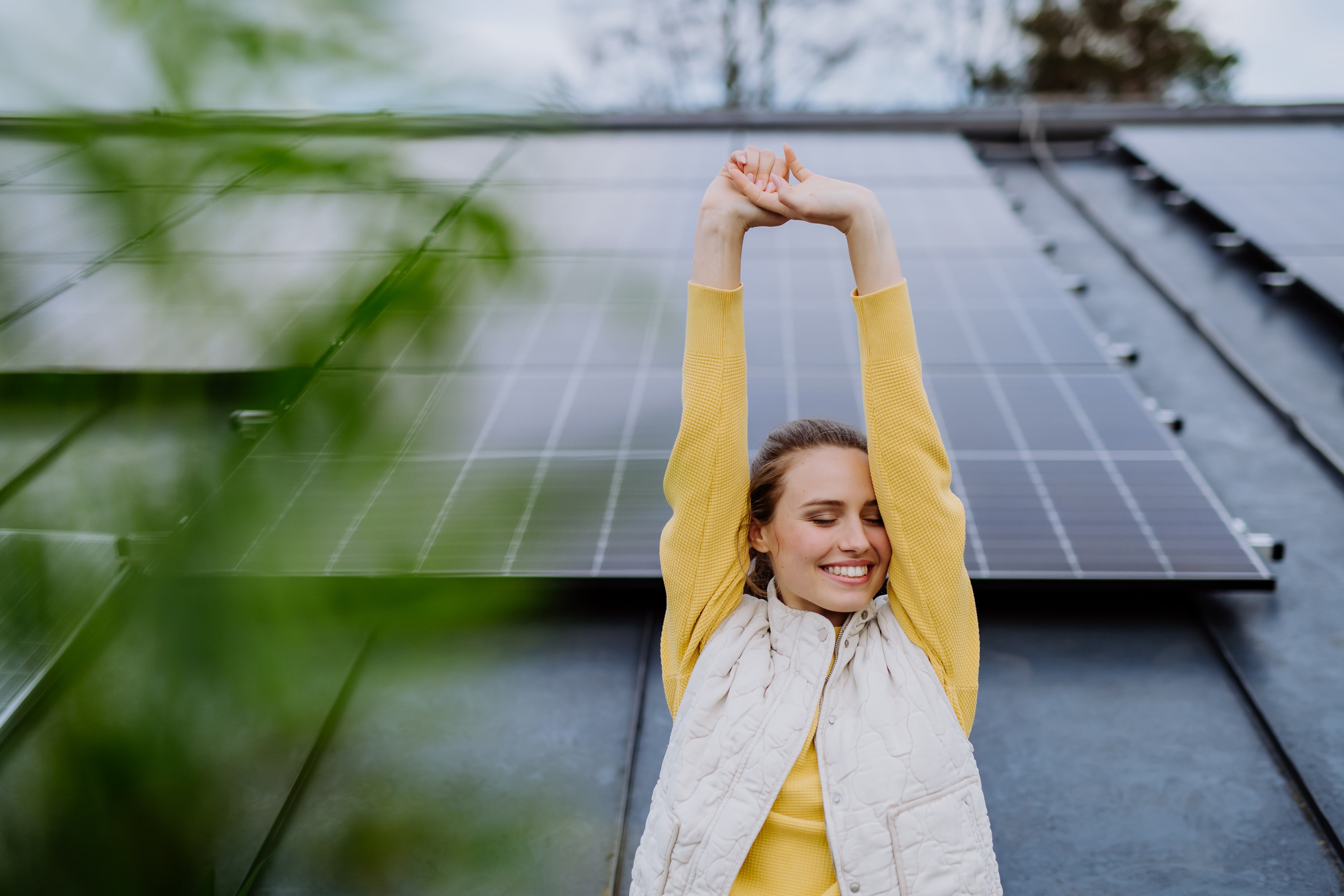Los paneles solares son dispositivos diseñados para convertir la energía del sol en electricidad.