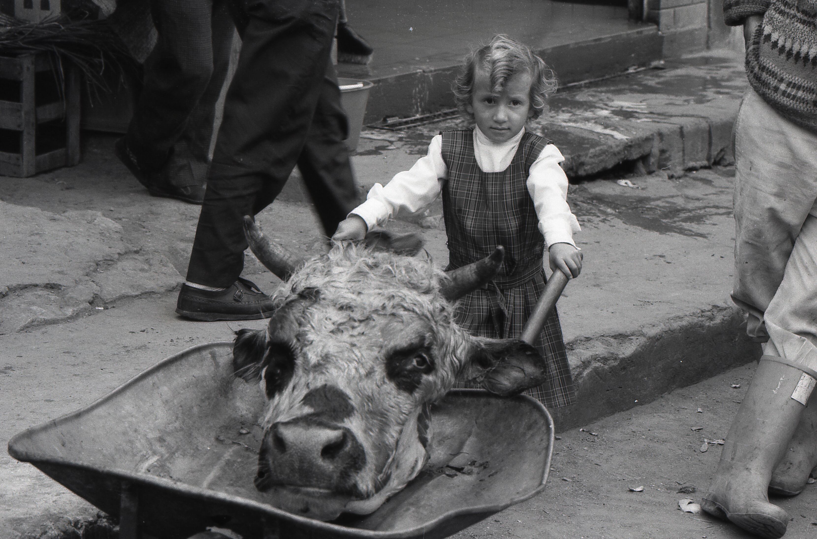 Viki Ospina - Serie de fotografías