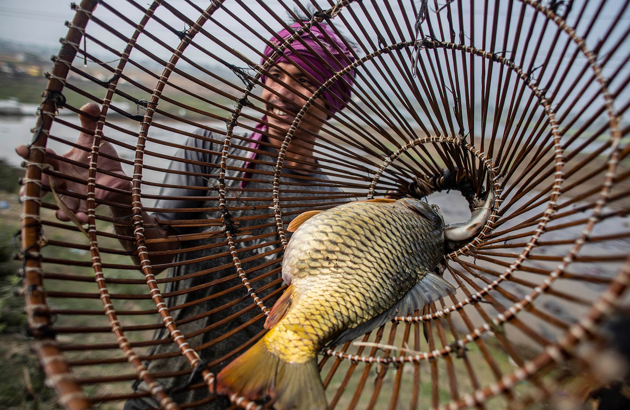 Un hombre tribal muestra su captura después de participar en la pesca comunitaria durante el festival Jonbeel cerca de Jagiroad, a unos 75 kilómetros (47 millas) al este de Gauhati, India, el viernes 22 de enero de 2021. Comunidades tribales como Tiwa, Karbi, Khasi y Jaintia de Los cerros cercanos participan en gran número en este festival, que significa armonía y hermandad entre varias tribus y comunidades, e intercambian bienes a través de un sistema de trueque establecido. (Foto AP / Anupam Nath)