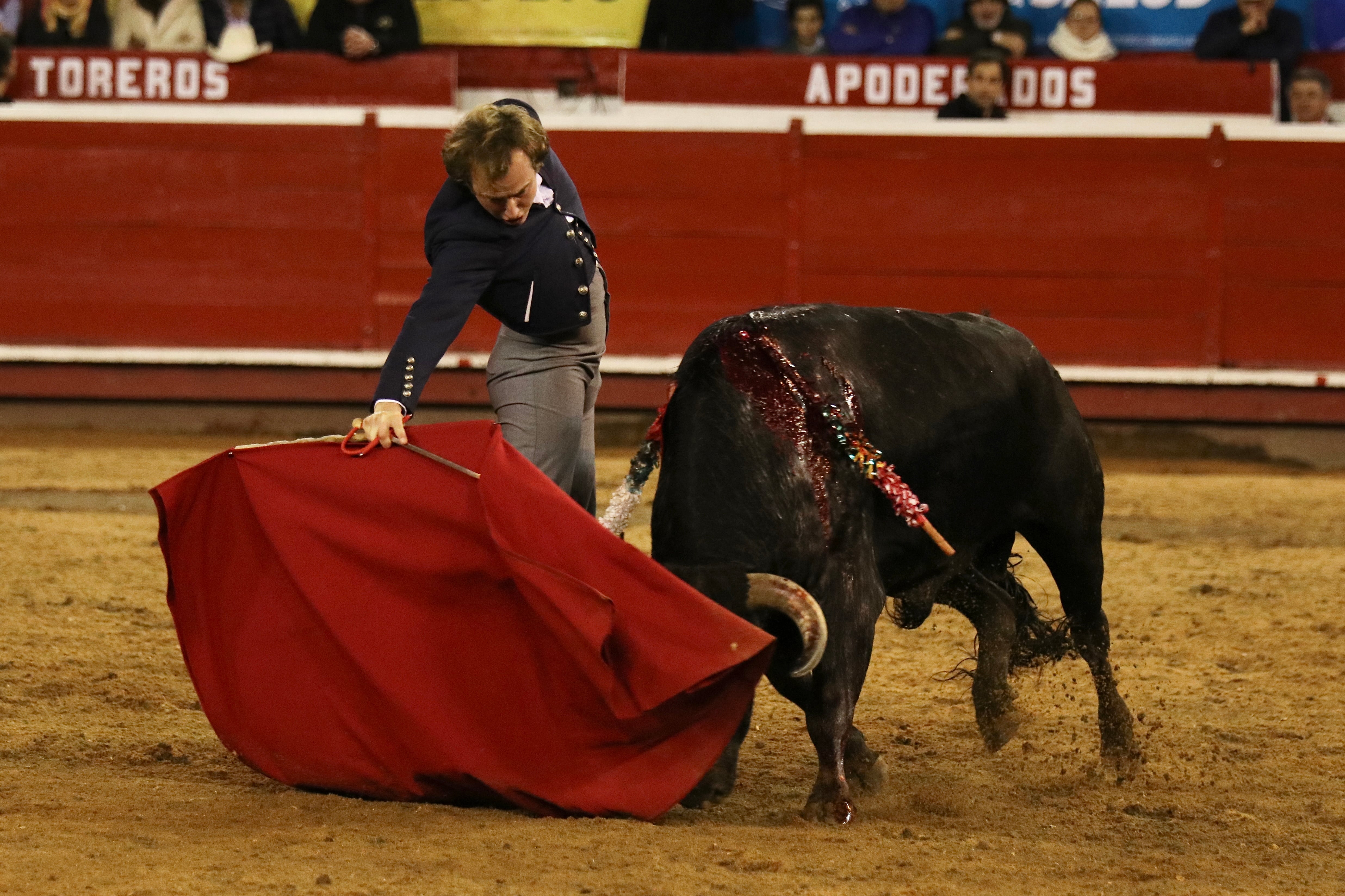 El torero español Román Collado, durante su actuación en el Festival Taurino de Manizales, el 5 de enero de 2023. Foto: Bryan Santiago Grisales Chica - Cormanizales.