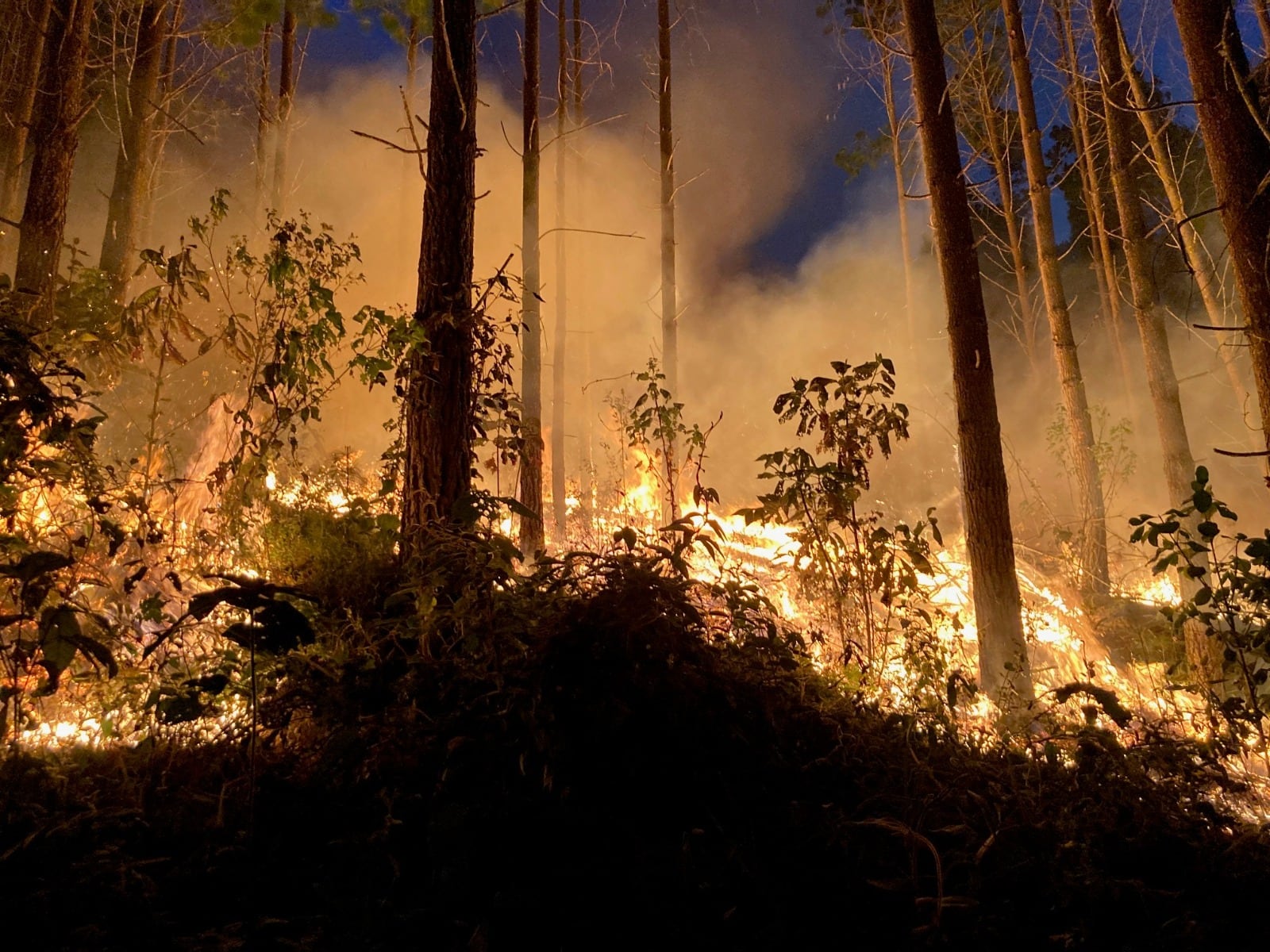Denuncian quema de maquinaria y violencia contra trabajadores de Smurfit Kappa en Cajibío, Cauca.