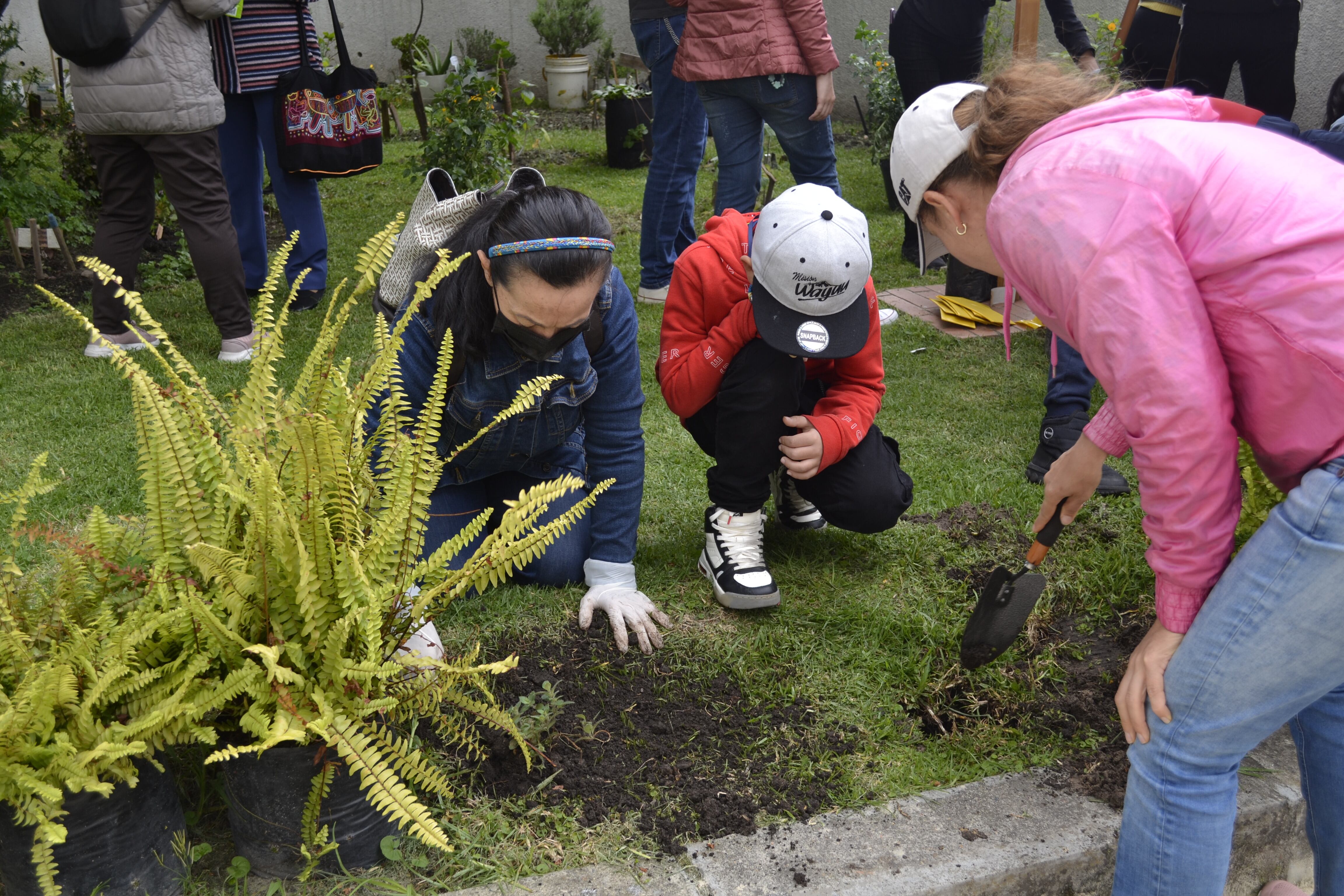 Siembra jardín de plantas nativas