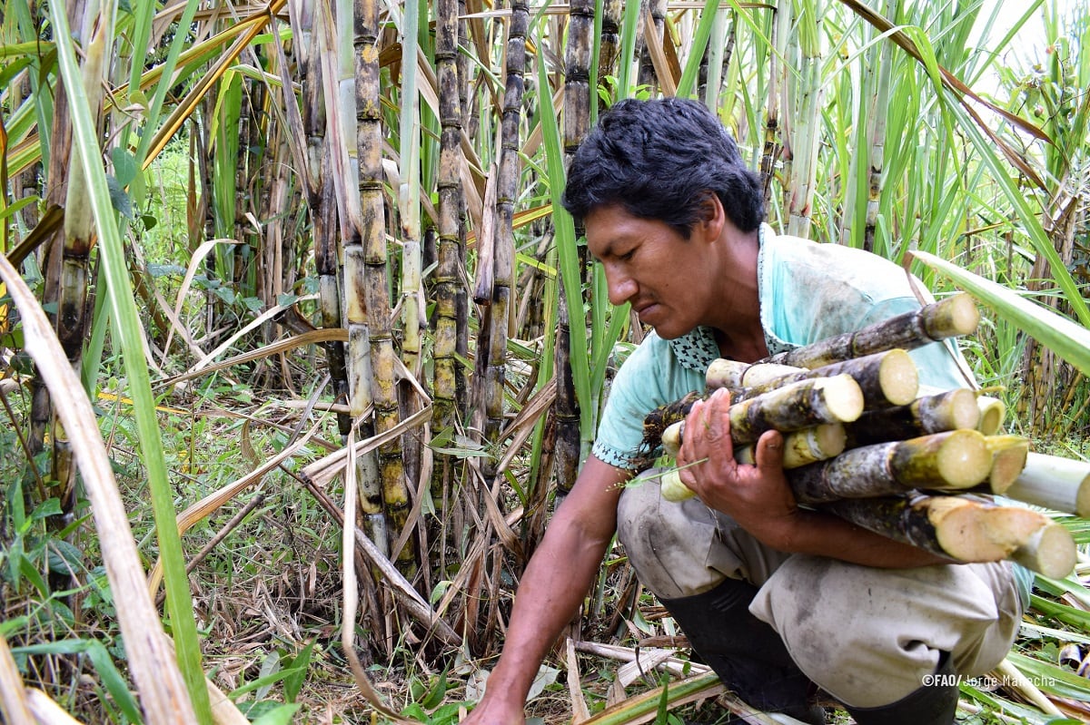 Indígenas en Latinoamérica