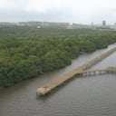 Así avanza la recuperación de la ciénaga de Mallorquín