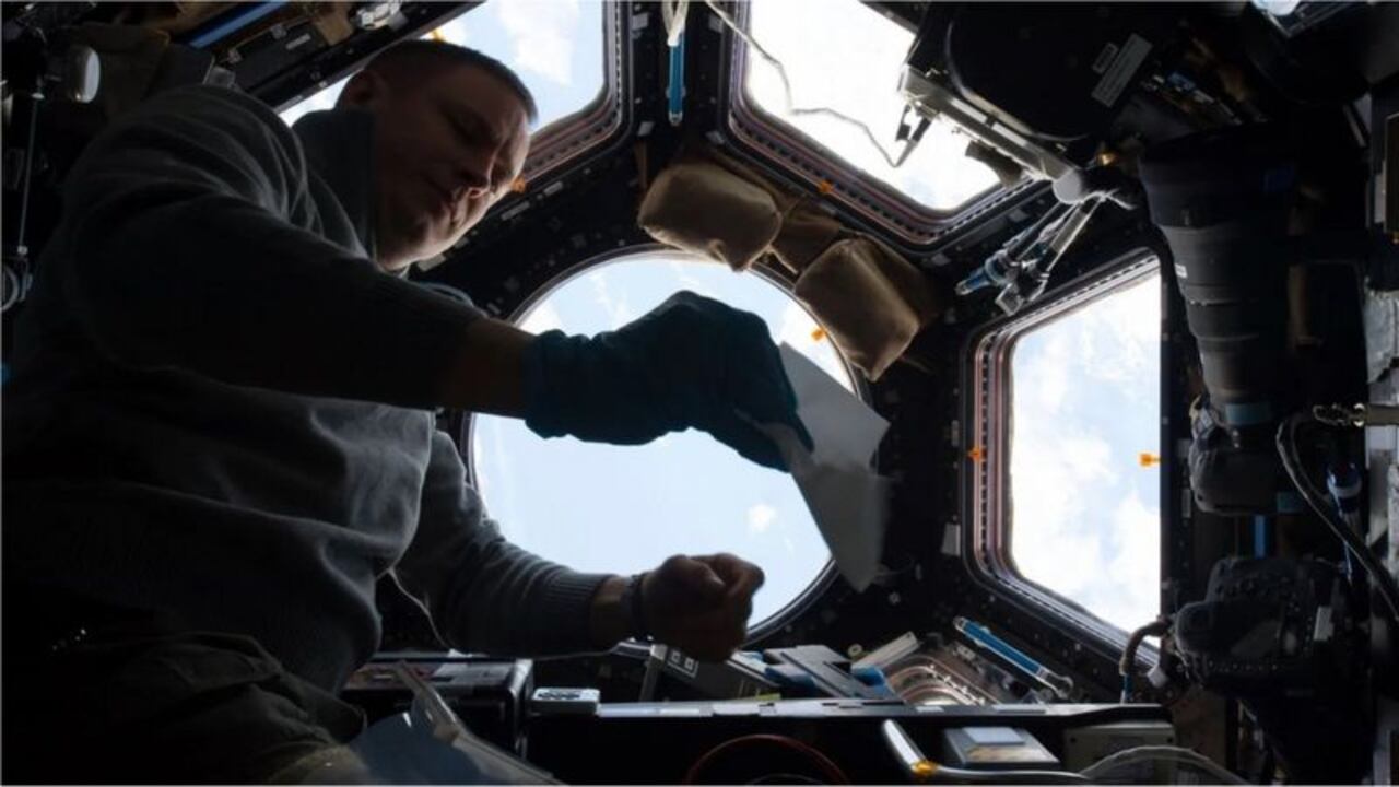 La Nasa informó que dos astronautas estadounidenses volarán a bordo de un cohete ruso Soyuz en dos misiones separadas, la primera de las cuales está prevista en septiembre.