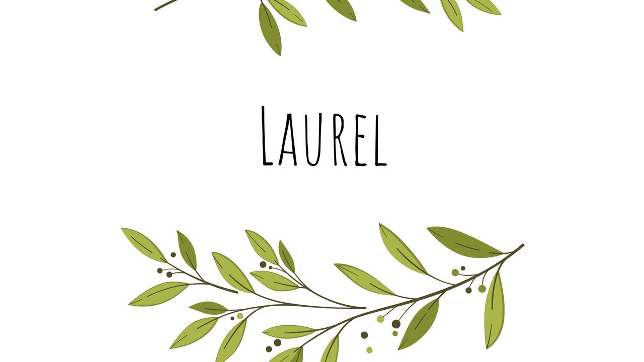 Laurel