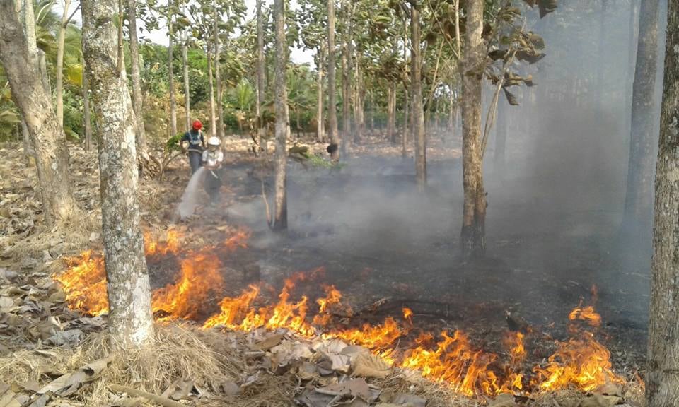 Las autoridades han hecho una petición a la ciudadanía para evitar prender fogatas, quemar basura o arrojar cigarrillos en zonas boscosas, pues van más de 33 incendios forestales en el departamento, y con la llegada de febrero, donde se espera que la temperatura aumente al menos un grado, podrían incrementarse las emergencias