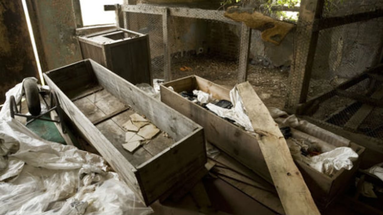 Hart Island alberga un cementerio donde se entierran bebés no natos o muertos poco después de nacer, pobres, indigentes, entre otros.