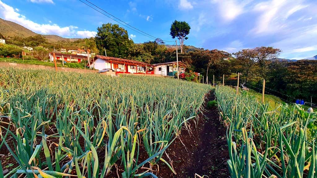 Corregimiento de San Cristóbal, Medellín