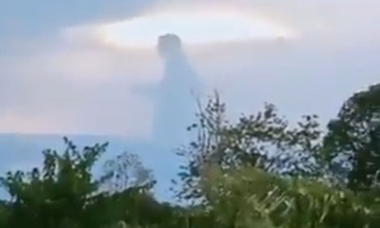 La imagen cautivó la atención de una persona que grabó el momento con su teléfono celular