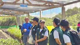 En el plano ambiental, Porvenir sembró 5.590 árboles nativos en el Parque Nacional Natural de Chingaza y los Farallones de Cali.