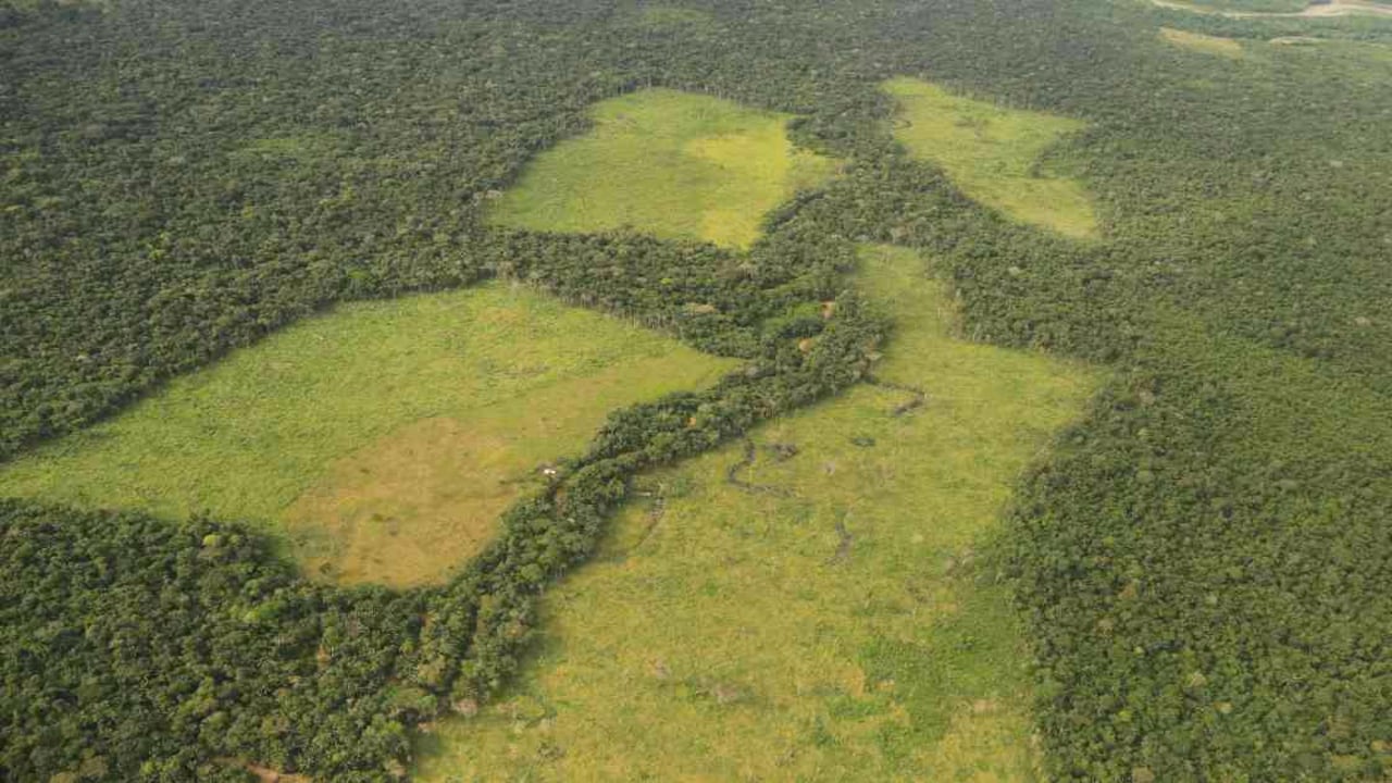 El 70% de la deforestación del país en 2018 se concentró en la Amazonia. Foto: Cormacarena.