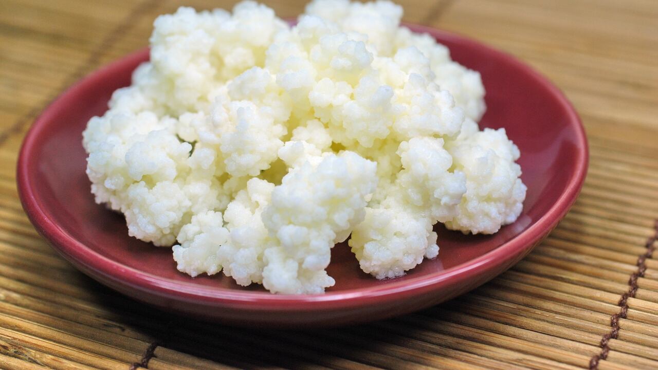 Probiótico que previene la osteoporosis.