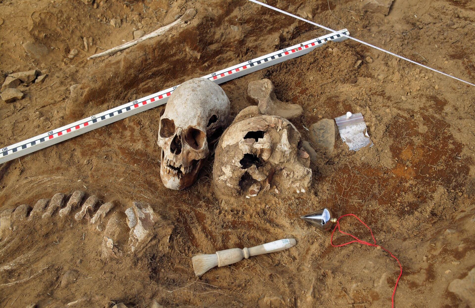 El fósil que reescribe el origen de la marcha humana.