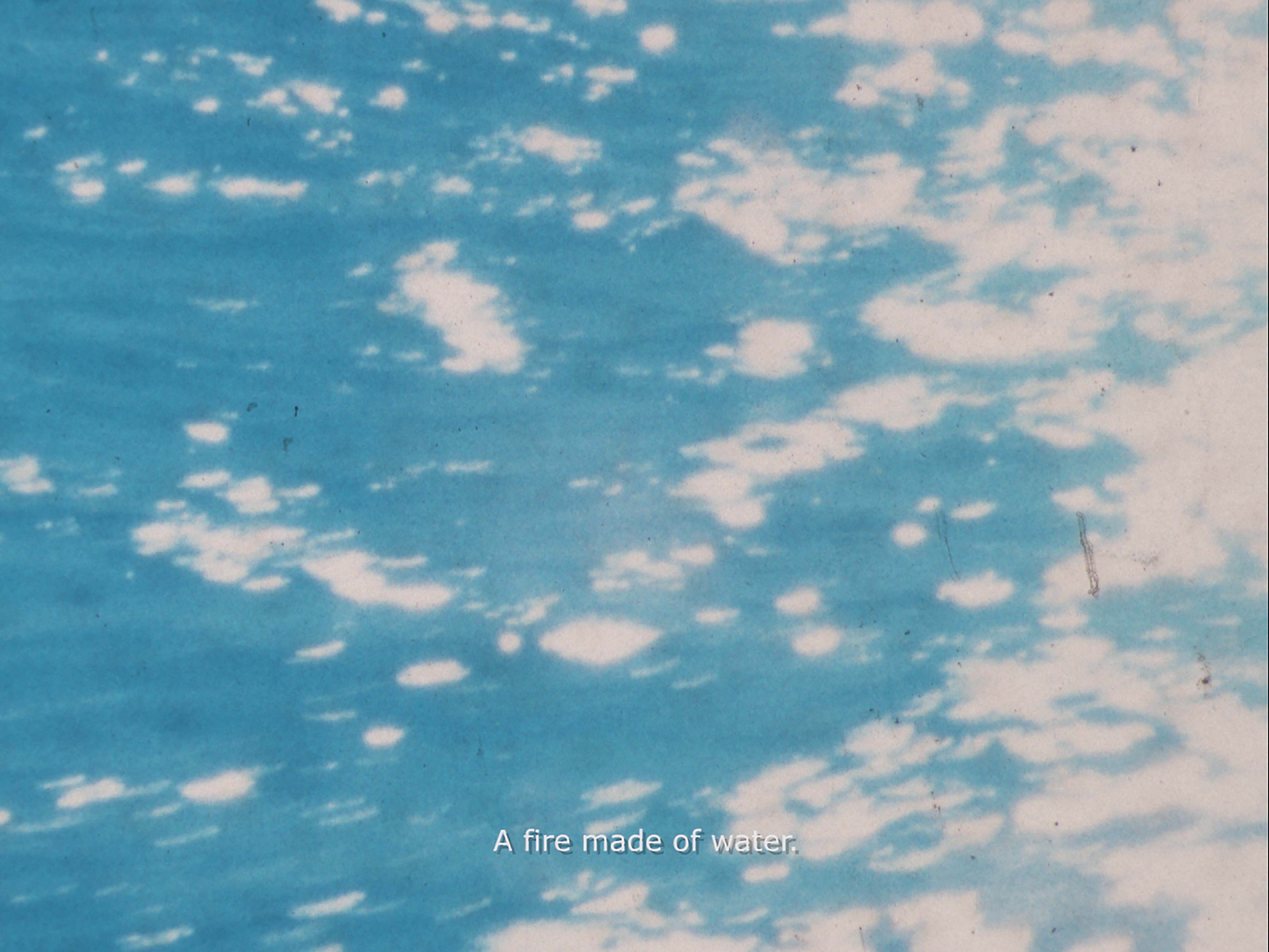 'El mañana es un palacio de agua';
'La jungla te conoce mejor que tú mismo'; 'nuestro canto a la guerra'.