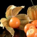 Cinco alimentos destacados en exportaciones.