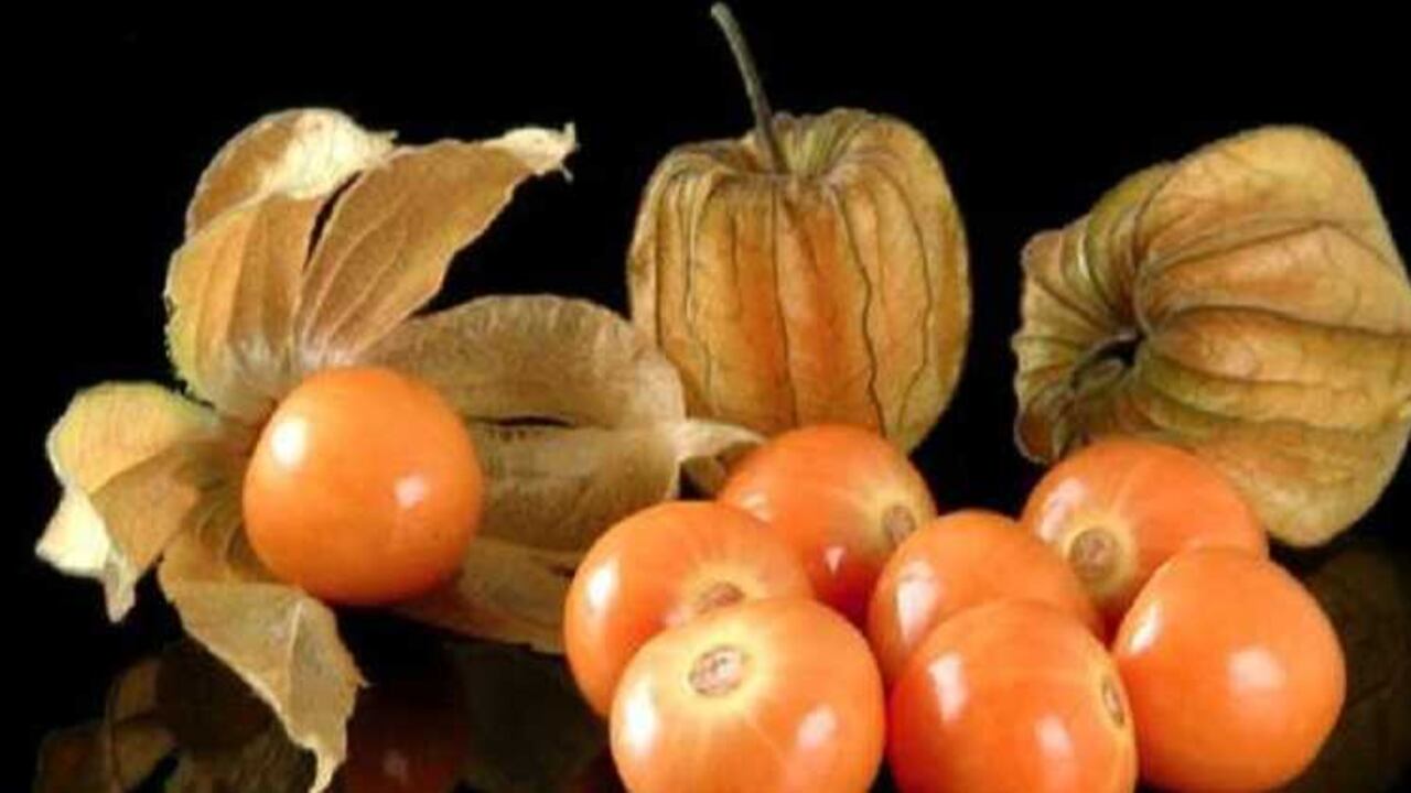 Cinco alimentos destacados en exportaciones.