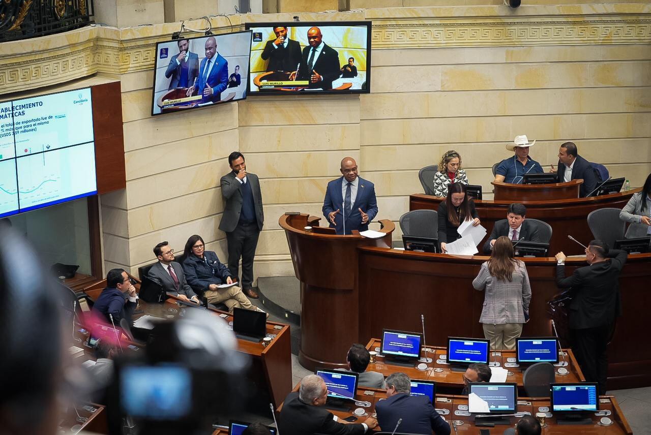 Canciller Luis Gilberto Murillo en la plenaria del Senado