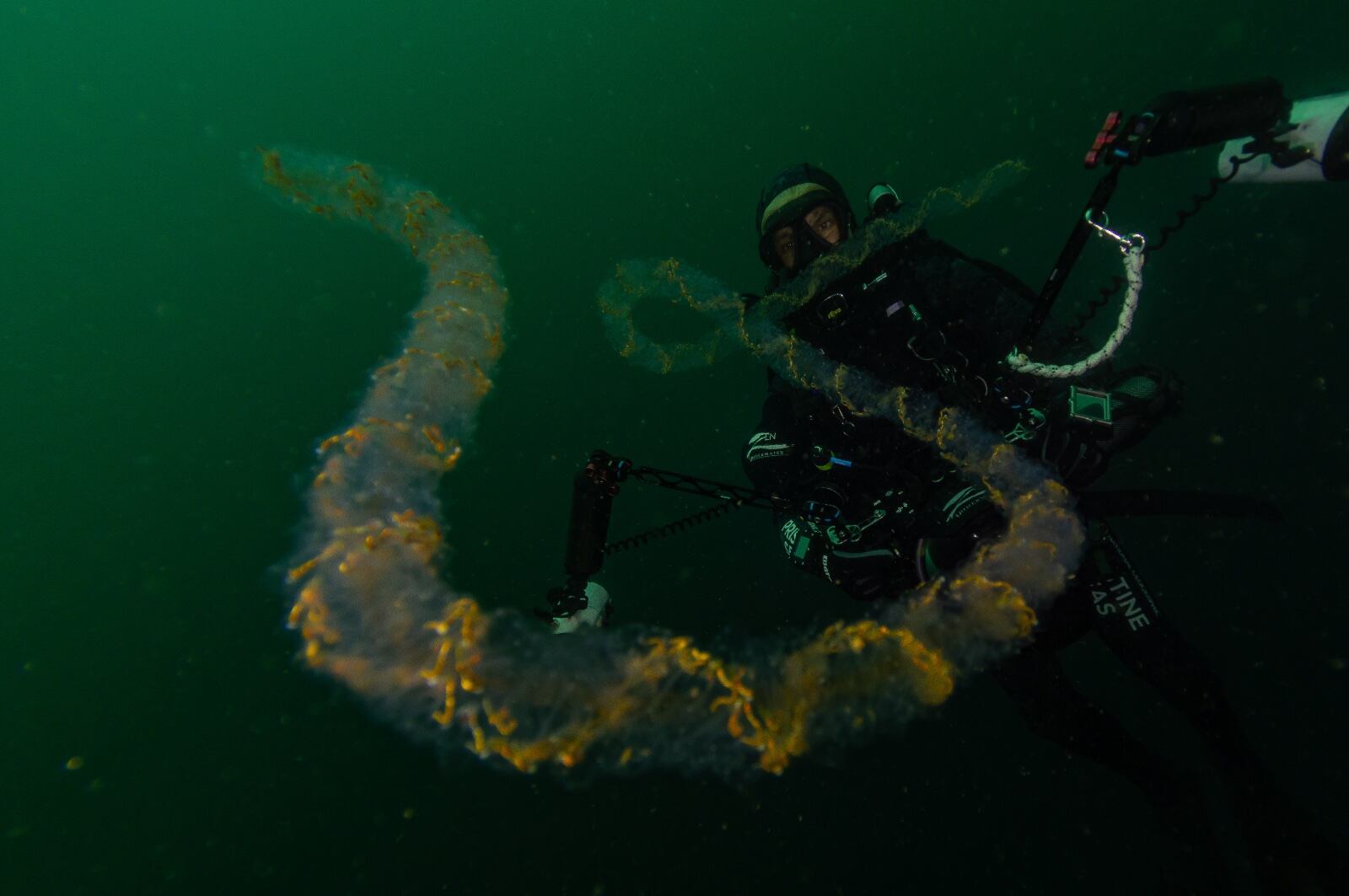 ‘Colombia azul’, el documental de National Geographic en el Pacífico, el golfo de Tribugá y atolones del Caribe