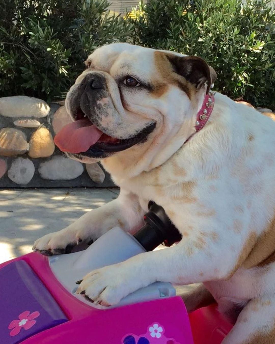 Foto: Instagram @ederbez.