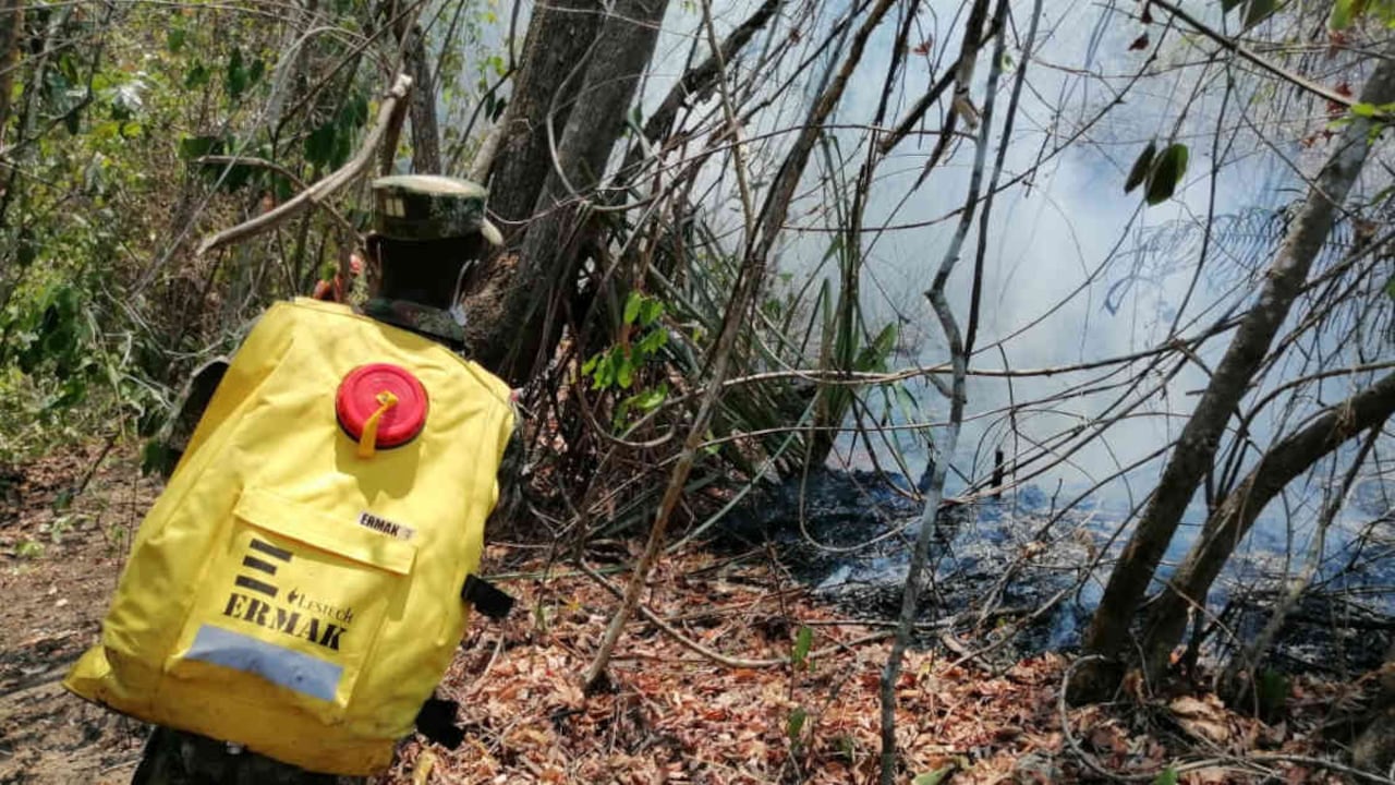 Uniformados del Ejército trabajan junto a la Defensa Civil, el Cuerpo de Bomberos de Santa Marta, la Unidad Nacional del Riesgo y la Fuerza Aérea en la extinción de los ocho focos activos. Foto: Batallón de Alta Montaña N.°6 del Ejército Nacional.