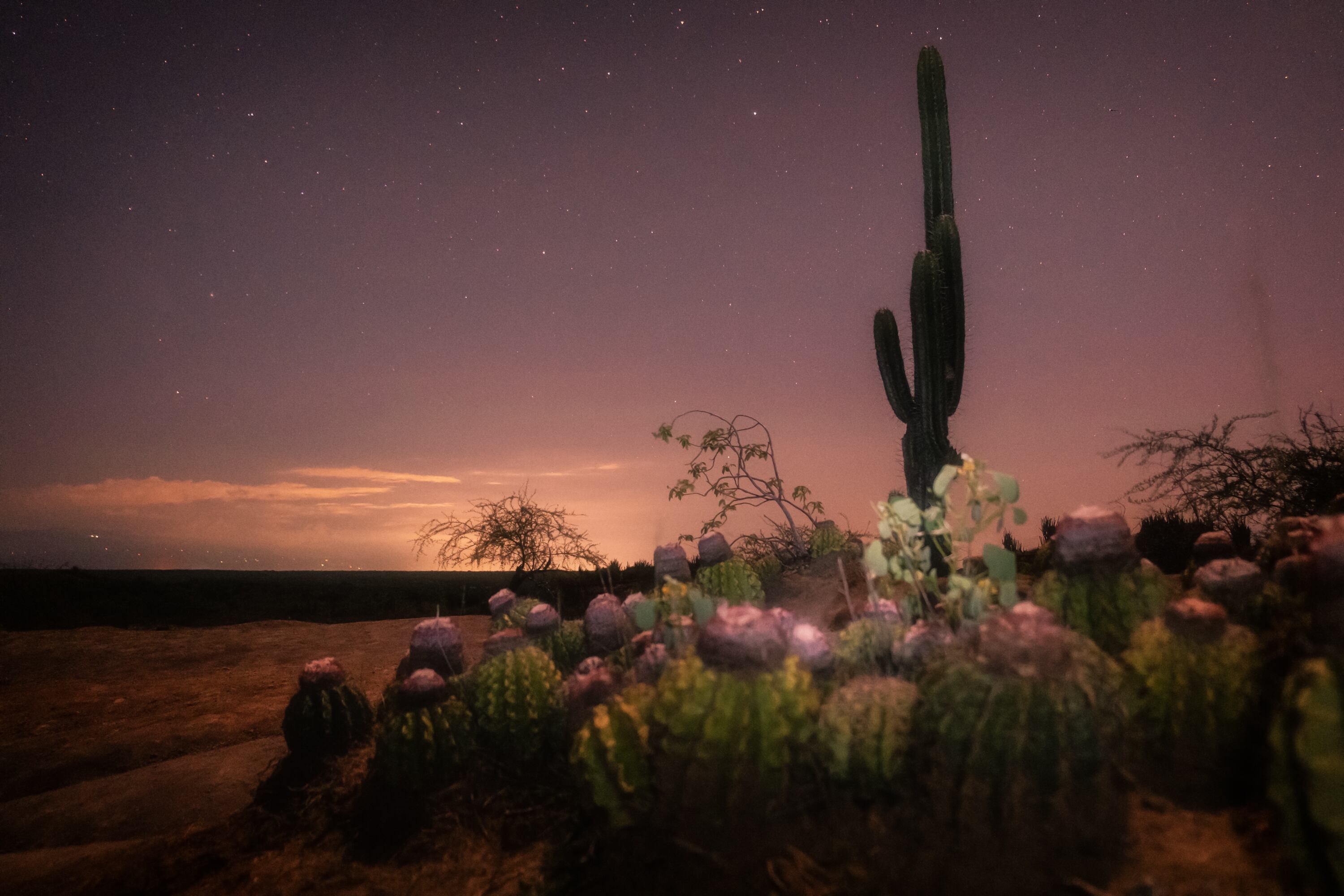 La serie de fotografías se realizó en el Desierto de la Tatacoa, muy cerca de Villavieja.