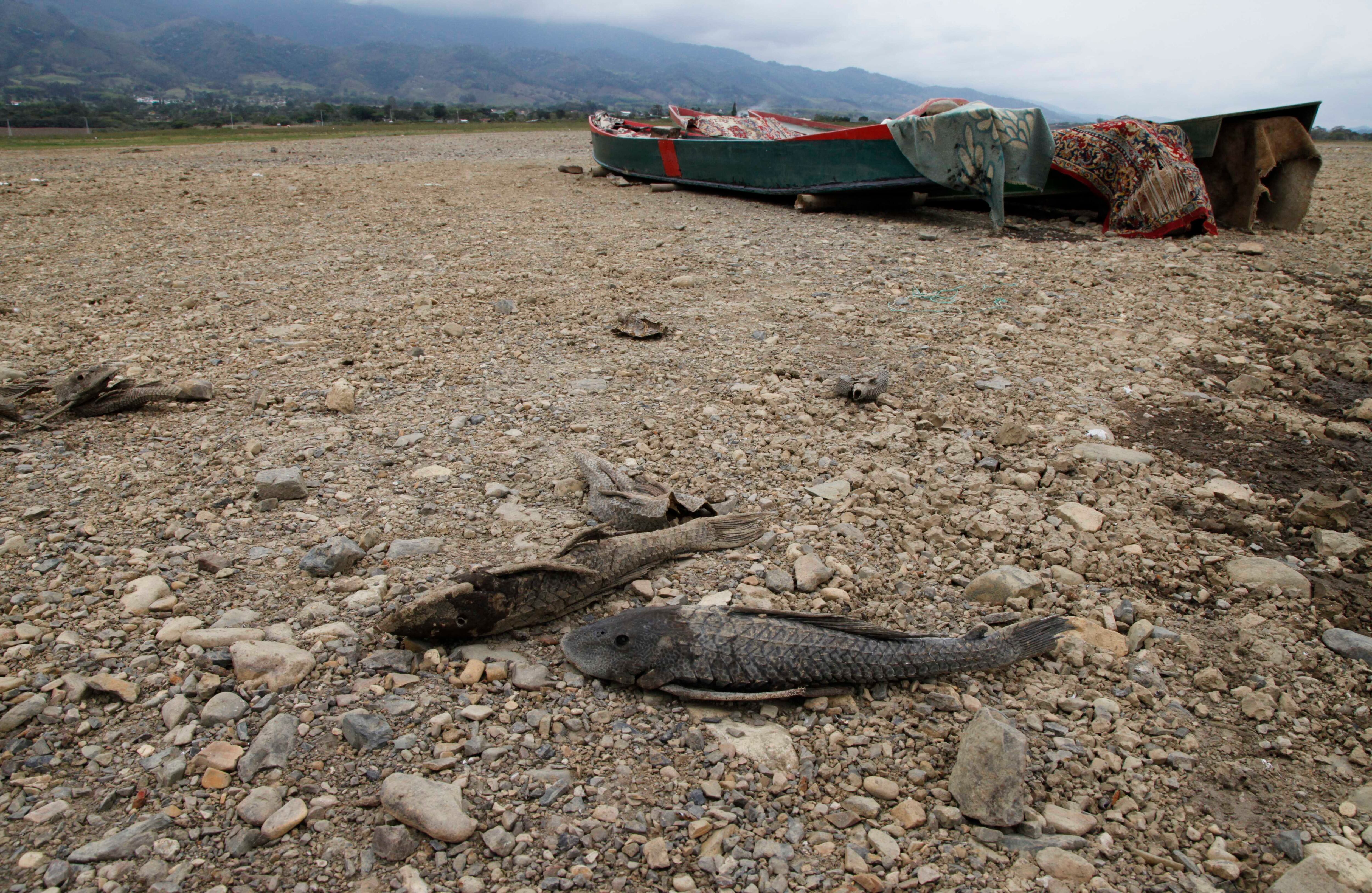 Lago Calima / Foto: Luis Ángel Murcia