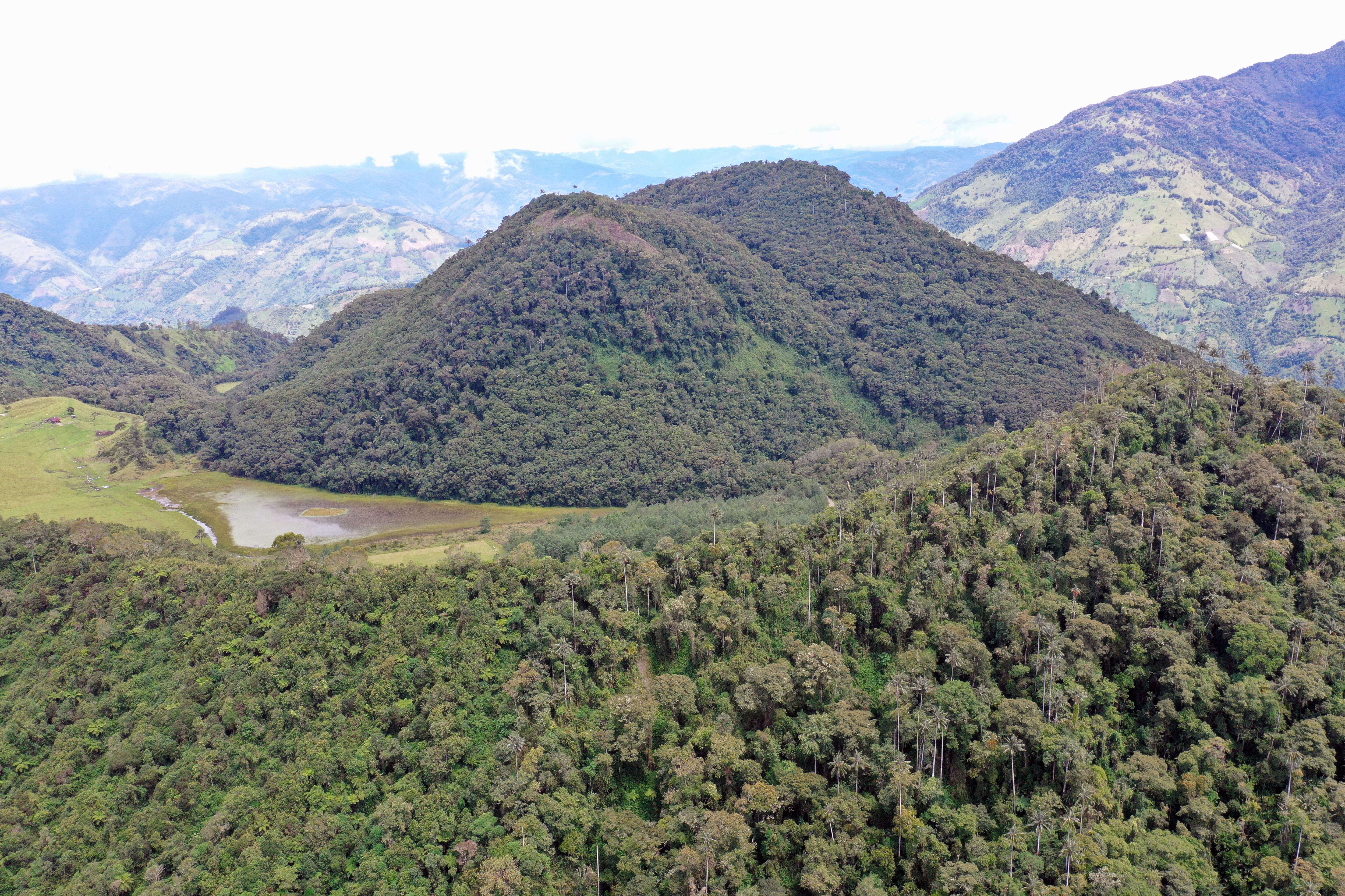 La declaratoria de nuevas áreas protegidas es otra de las muchas estrategias con las que Cortolima se consolida como una aliada de la conservación.