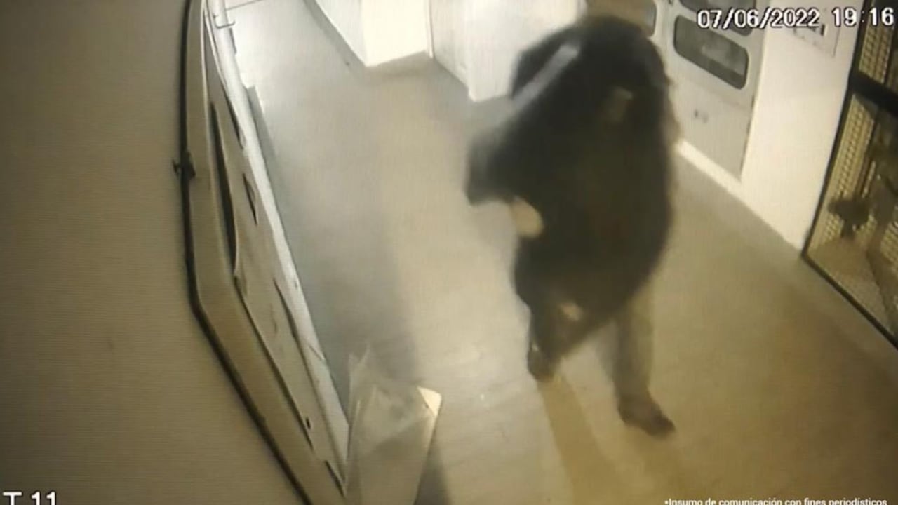 Fiscalía reveló videos del caso Adriana Pinzón. El presunto asesino llegó a la vivienda de la víctima y salió con una bolsa de basura “muy pesada”.