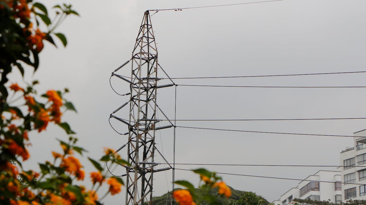 EPM adelanta intervenciones forestales para garantizar que árboles no interfieran con las redes de energía.