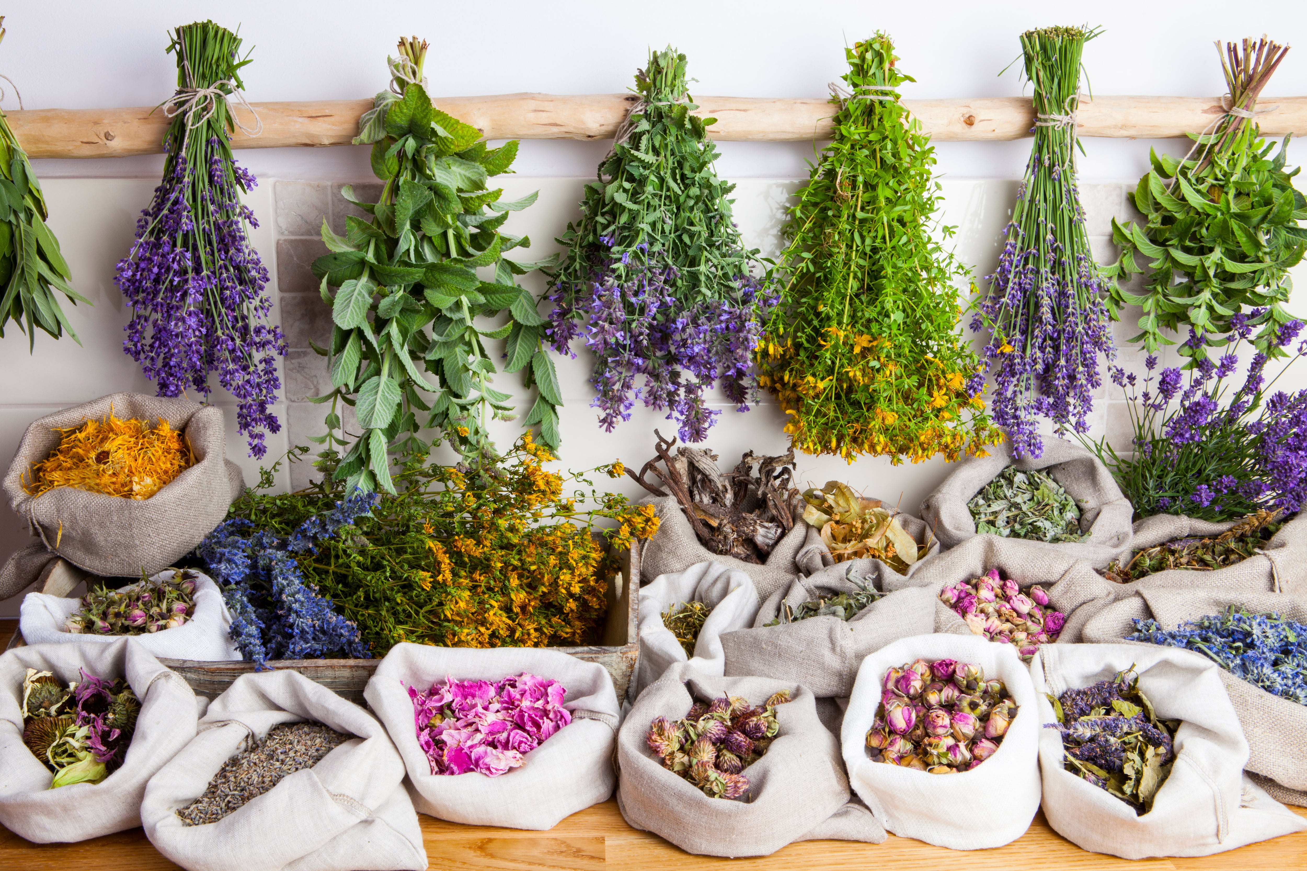 La fitoterapia emplea plantas medicinales.