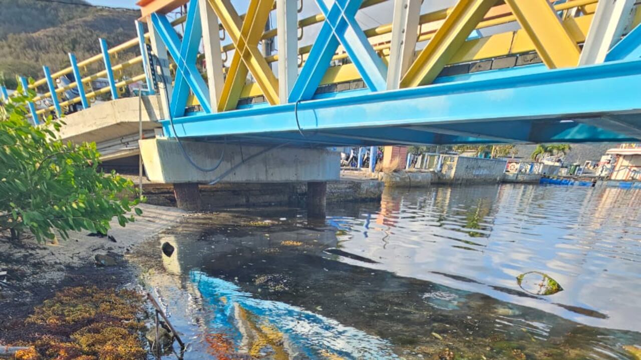 Mortandad de peces en islas de Providencia y Santa Catalina, reportó Coralina