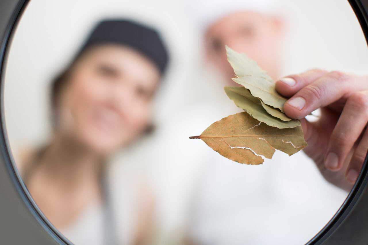 El laurel tiene propiedades antibacterianas.