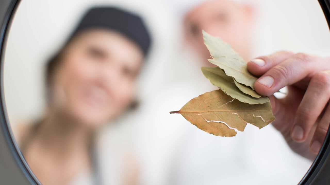 El laurel tiene propiedades antibacterianas.