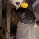 Disminuir la huella de carbono ha sido una tarea de compromiso para muchas empresas del país.