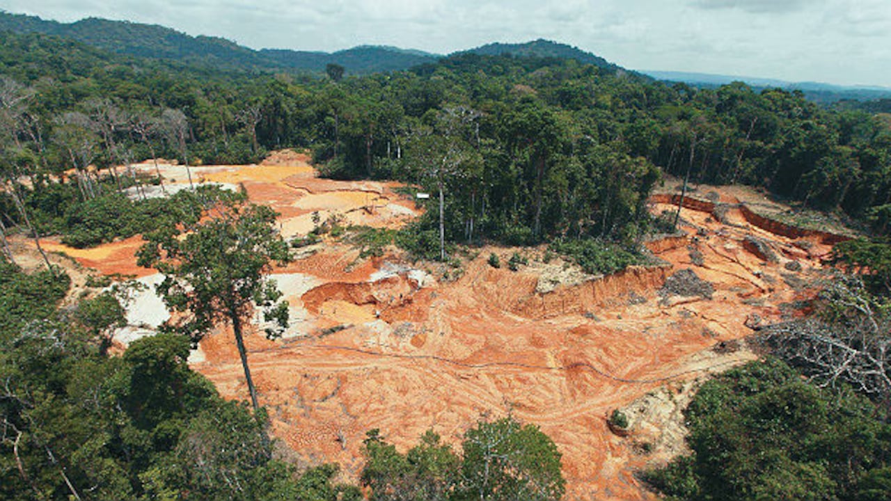 Según el Fondo Mundial para la Naturaleza el 17 por ciento del bosque amazónico ya desapareció. Foto: archivo/Semana.com