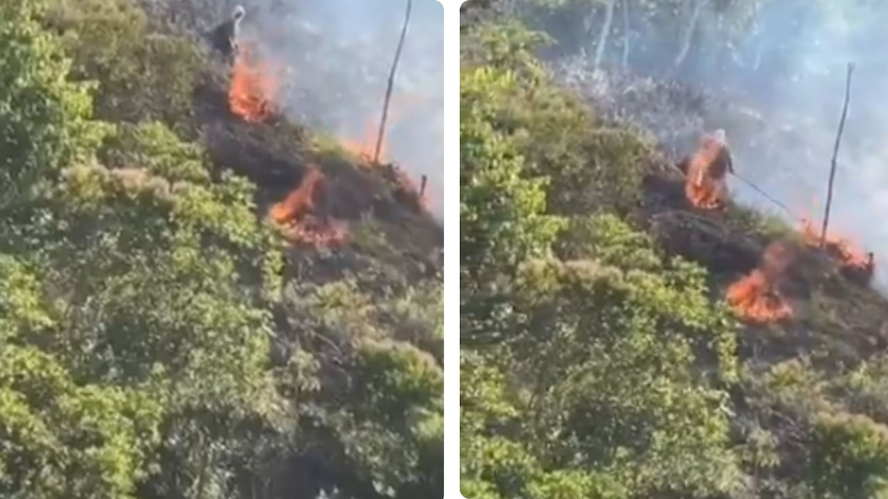 Imágenes del incendio registrado en video en los sectores de Bosques de Potrerito y Reservas de Río Claro. Se presume que fue provocado.