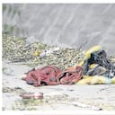 Los restos humanos fueron hallados en dos barrios diferentes de la ciudad.