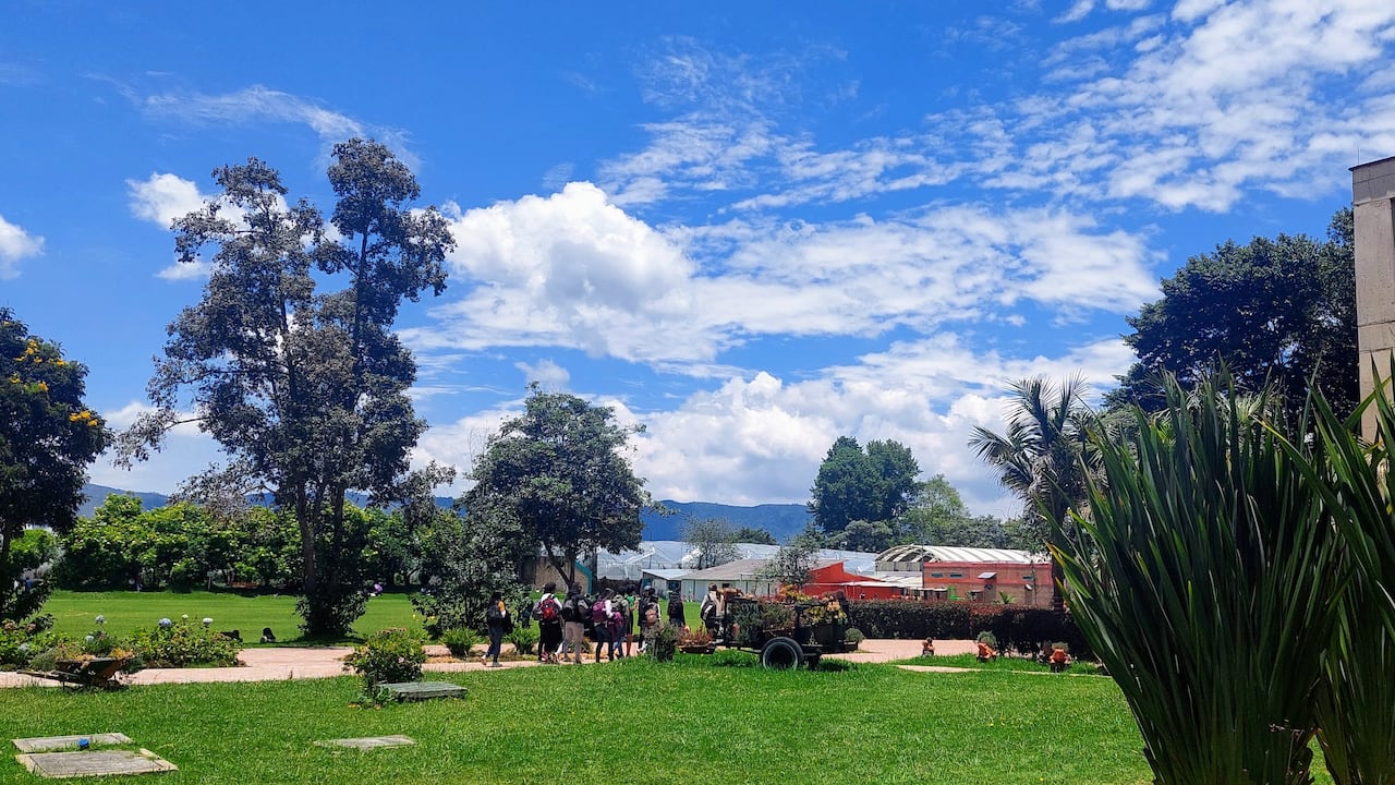 Desde 2016la U.D.C.A participa en elRanking InternacionalUI Green Metric.