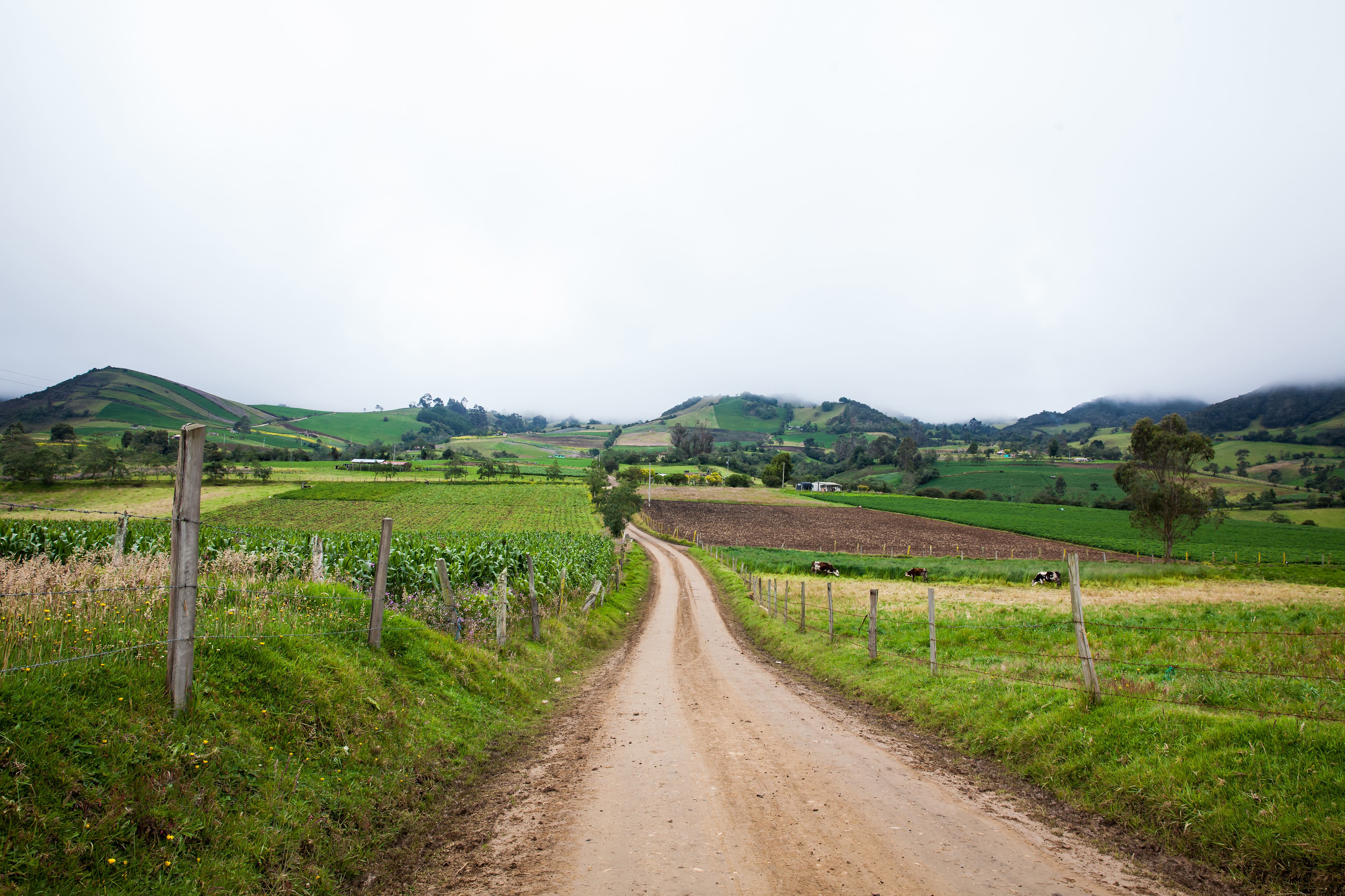 Carretera rural sin pavimentar entre las pequeñas ciudades de Ventaquemada y Turmequé.